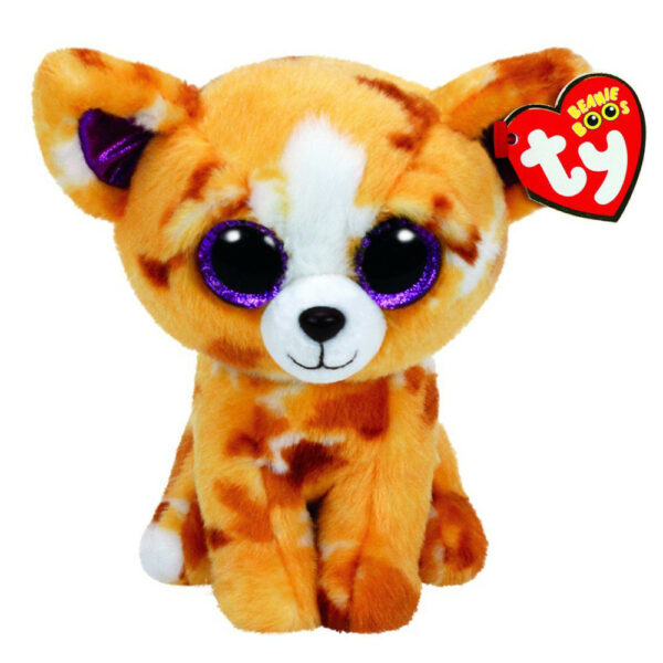 Plus chihuahua pablo (15 cm) - ty