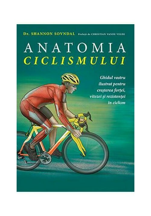 anatomia ciclismului 14767 4