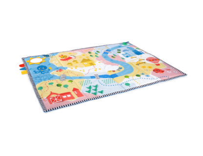 baby einstein plush busy mat 2