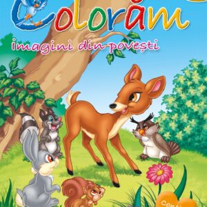 Carte de colorat editura Girasol - Imagini din poveste 1