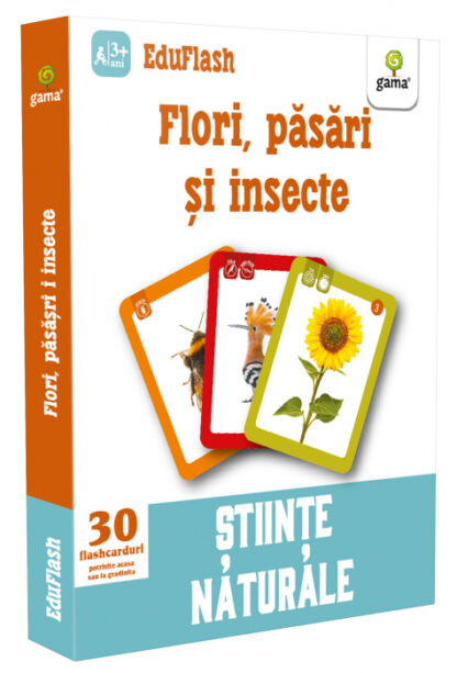 carti de joc montessori originea alimentelor copie 18804 7663