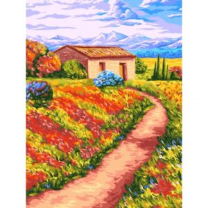 Pictura pe numere - Colt de Rai 40 x 50 cm