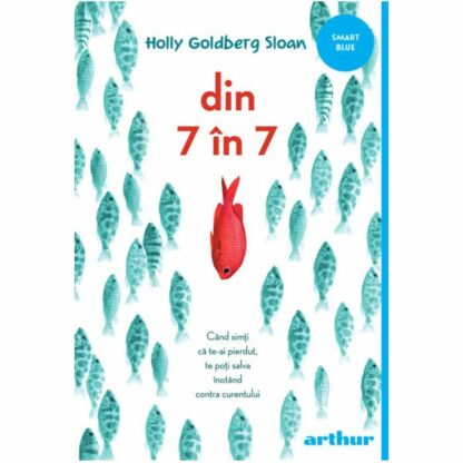 din 7 in 7 paperback s cover big