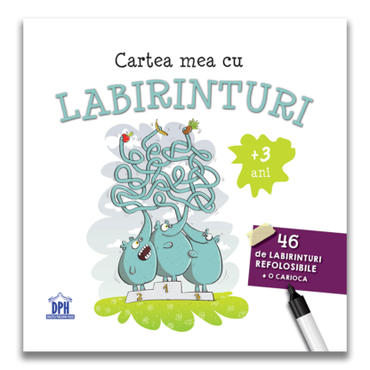 dph4569 carte mea cu labirinturi