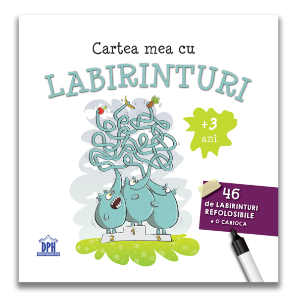 Carte mea cu labirinturi