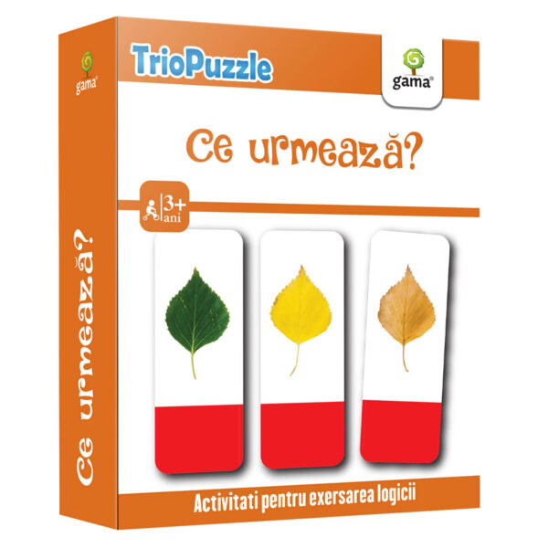 Editura Gama, Triopuzzle, Ce urmeaza?