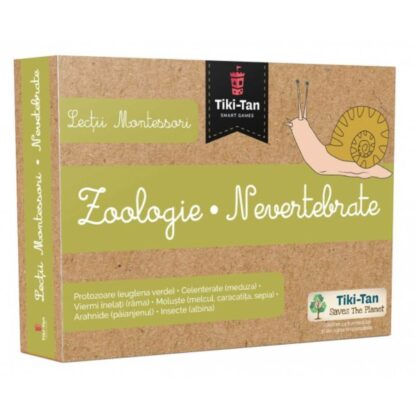 gm3096 001w lectii montessori. lectii de zoologie nevertebrate