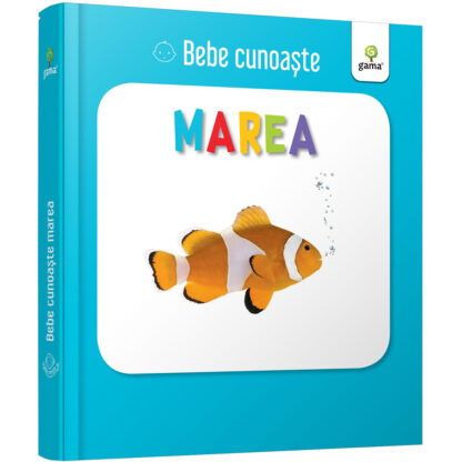 gm6007 001w bebe cunoaste marea 1