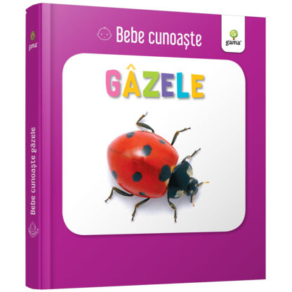 gm8929 001w bebe cunoaste gazele 1