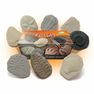 Sa investigam! - Fosile