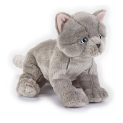 jucarie plus national geographic pisica british shorthair