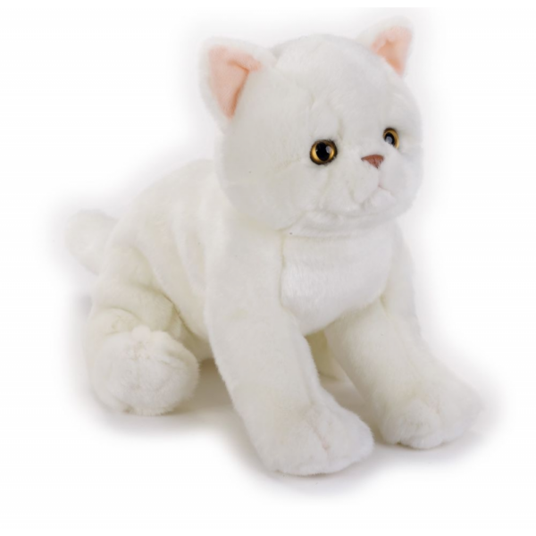 Jucarie plus National Geographic Pisica Exotic Shorthair
