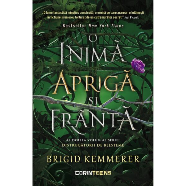 O inima apriga si franta. Seria Distrugatorii de blesteme, Vol. 2, Brigid Kemmerer