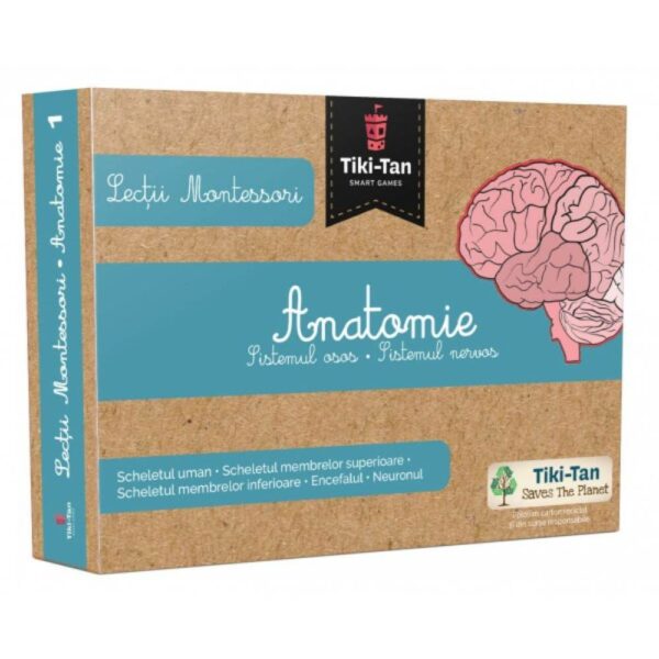 Lectii Montessori. Lectii de anatomie: Sistemul osos. Sistemul nervos
