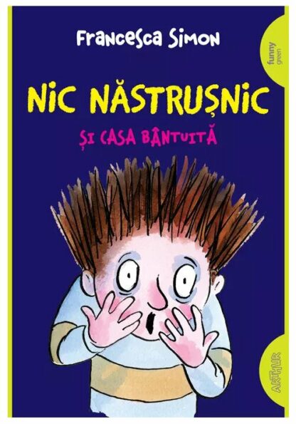 nic nastrusnic si casa bantuita 35743 4