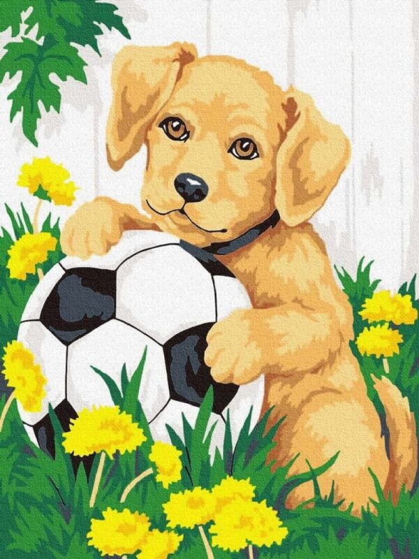 Pictura pe numere -Catelusul fotbalist 30 x 40 cm