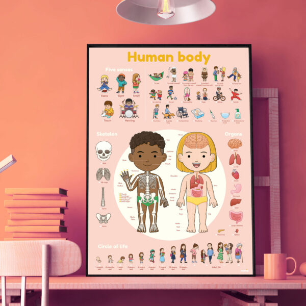Joc educativ cu stickere repozitionabile corpul uman poppik - imagine 5