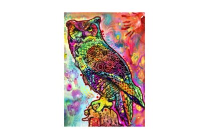 puzzle bluebird owl 1000 piese 70093