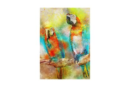 puzzle bluebird parrots 1000 piese 70032