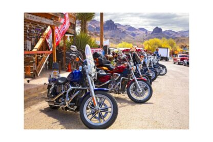 puzzle bluebird rt 66 fun run oatman motorcycles 4 16 8377 1000 piese 70067