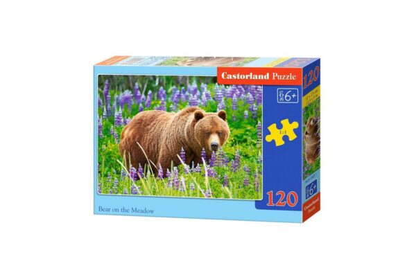 puzzle castorland bear on the meadow 120 piese 1
