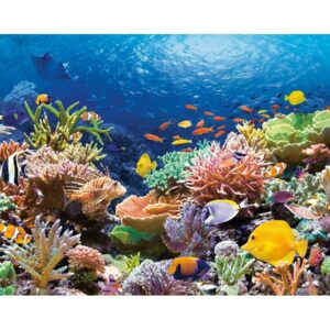 Puzzle Castorland - Coral Reef Fishes, 1000 piese