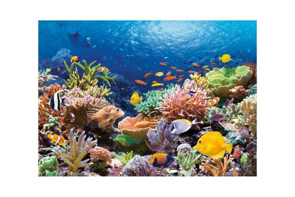 puzzle castorland coral reef fishes 1000 piese