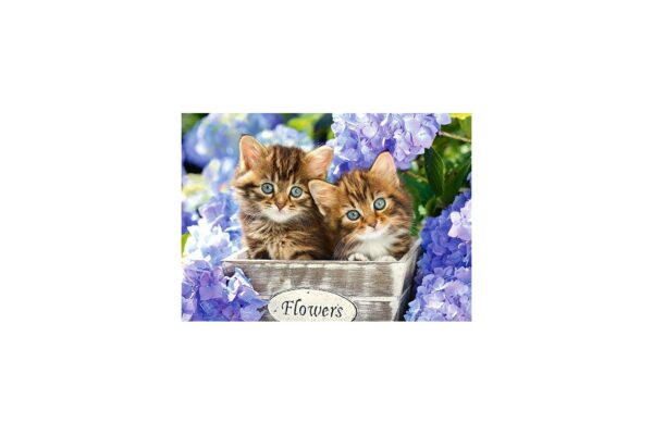 puzzle castorland cute kittens 60 piese