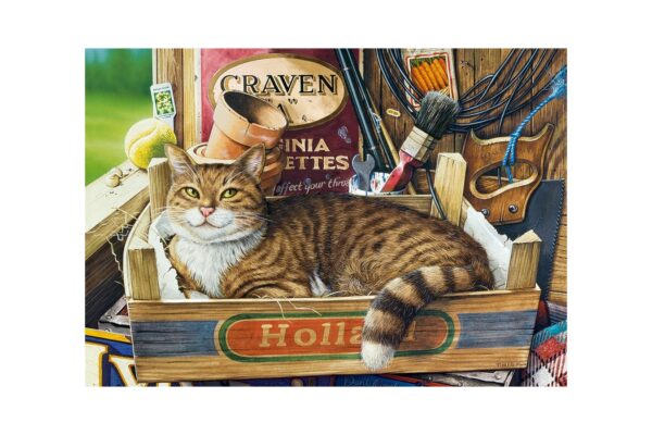 puzzle castorland fothergill 500 piese 53476