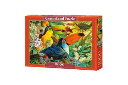 puzzle castorland interlude 3000 piese 1