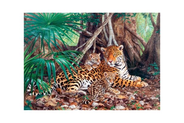 puzzle castorland jaguars in the jungle 5904438300280 3000 piese