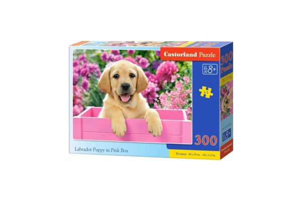 puzzle castorland labrador puppy in a box 300 piese 1