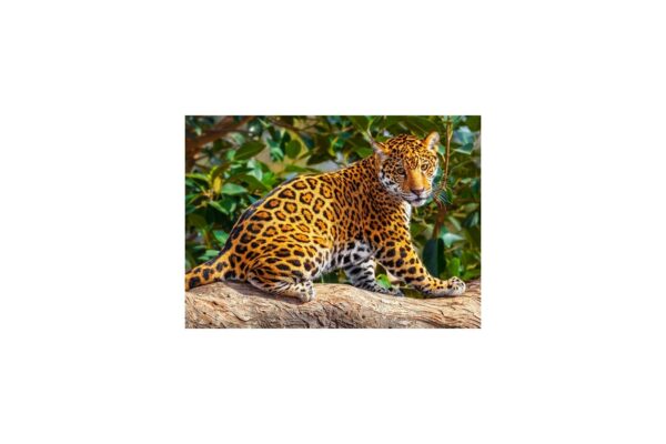 puzzle castorland little jaguar 260 piese