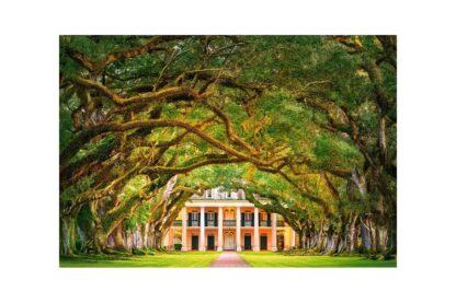 puzzle castorland oak alley plantation 1000 piese 104383