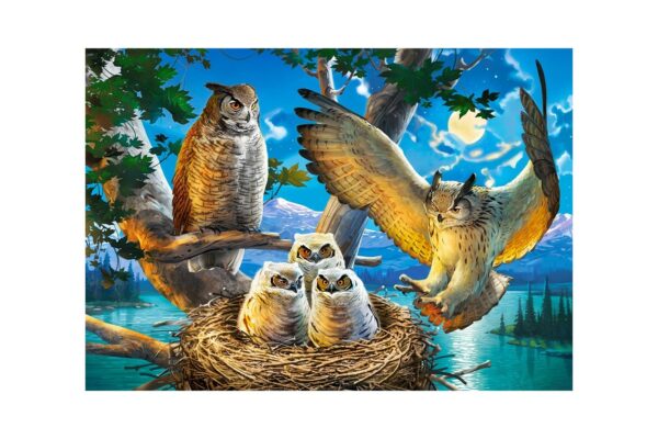 Puzzle Castorland - Owl Family, 500 piese (53322)