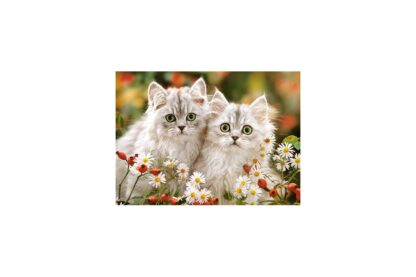 puzzle castorland persian kittens 200 piese 222131 1