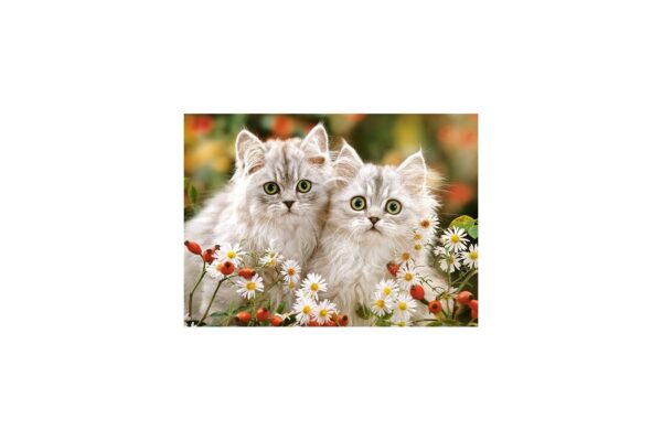 puzzle castorland persian kittens 200 piese 222131 1