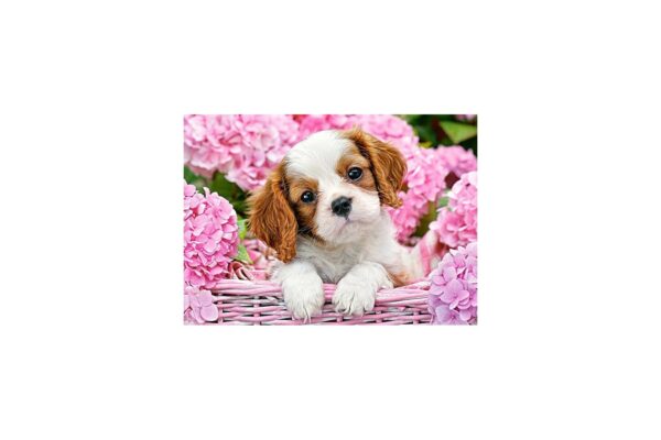 puzzle castorland pup in pink flowers 180 piese