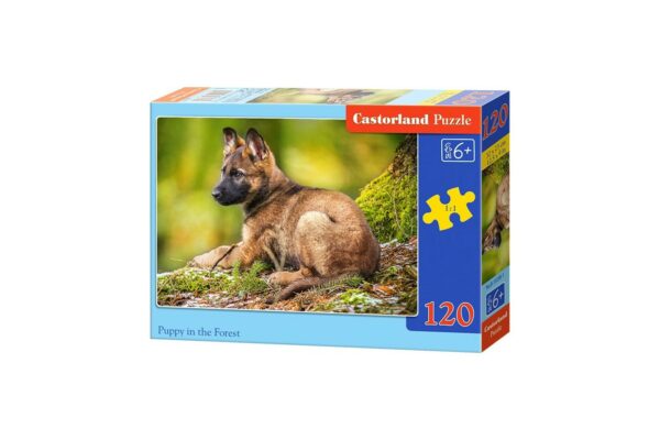 puzzle castorland puppy in the forest 120 piese 1
