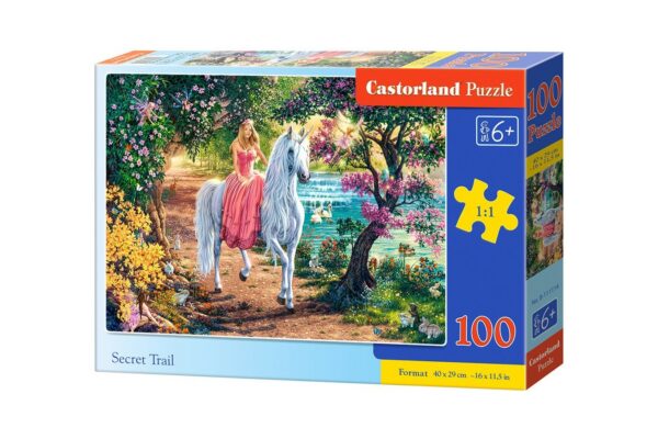 puzzle castorland secret trail 100 piese 111114