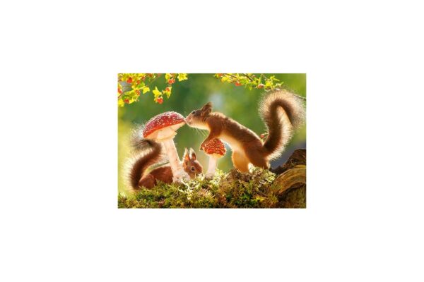 puzzle castorland squirrel s foret life 260 piese 27521