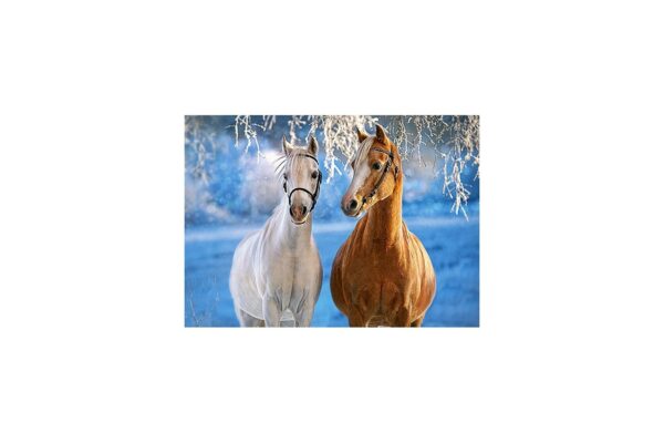puzzle castorland the winter horses 260 piese