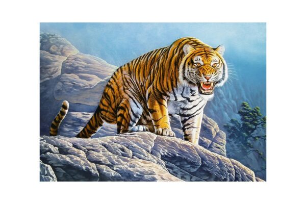 puzzle castorland tiger on the rocks 500 piese 53346