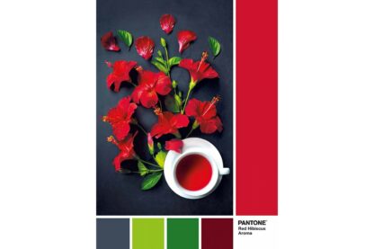 puzzle clementoni pantone goji berry 1000 piese 39494