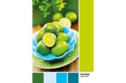 puzzle clementoni pantone juicy limes 1000 piese 39492