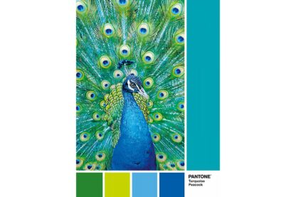 puzzle clementoni pantone peacock blue 1000 piese 39495