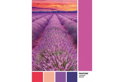 puzzle clementoni pantone purple 1000 piese 39493