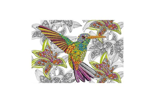 puzzle de colorat educa hummingbird 300 piese include lipici puzzle 17083