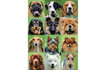 puzzle educa dog collage 500 piese 17963