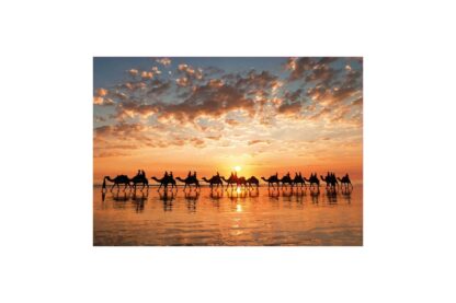 puzzle educa sunset in beach cable 1000 piese 18492